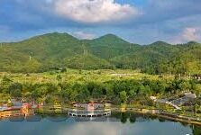 mk体育在线直播-MK体育，在线直播的新纪元